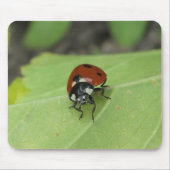 Friendly Ladybug Muismat (Voorkant)