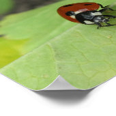Friendly Ladybug Poster (Hoek)