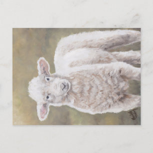 Friendly Lamb Sheep Animal Art Briefkaart
