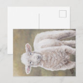 Friendly Lamb Sheep Animal Art Briefkaart (Voorkant / Achterkant)