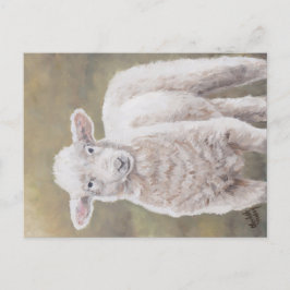 Friendly Lamb Sheep Animal Art Briefkaart