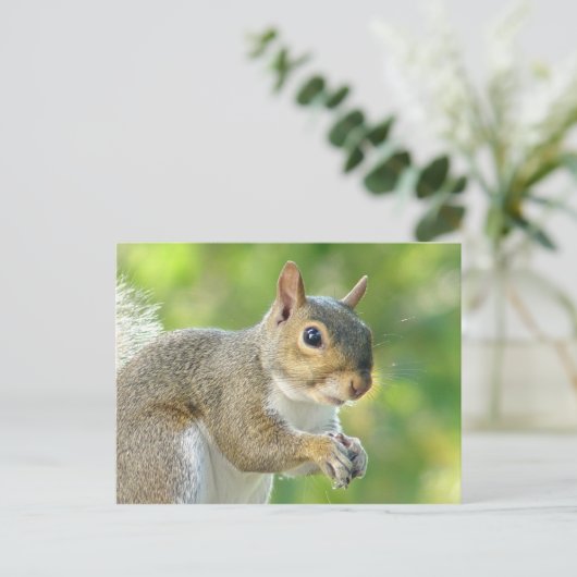 Friendly Little Squirrel Briefkaart (Staand voorkant)