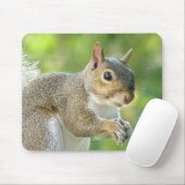 Friendly Little Squirrel Mousepad Muismat (Met muis)