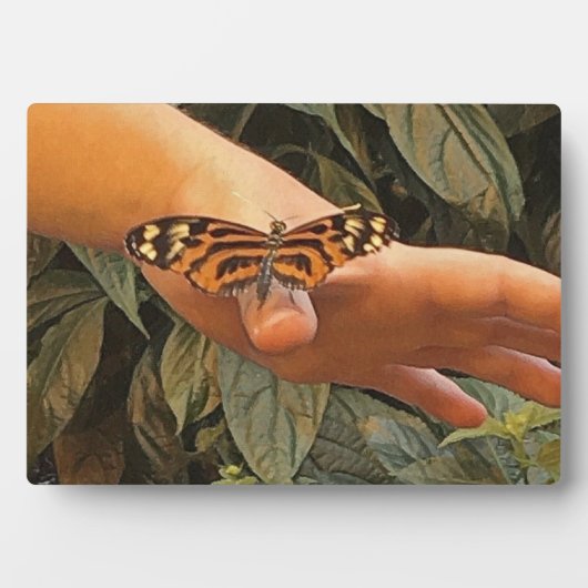 Friendly Monarch Butterfly Fotoplaat (voorkant)