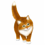 Friendly Oranje Tabby Kitten Pin Staand Fotobeeldje<br><div class="desc">Origineel kunstontwerp van een zoet oranje tafelblad van kunstenaar Carolyn McFann van Two Spinnende Cats Studio,  gedrukt op een acrylpin van hoge kwaliteit voor gemberkattenventilatoren.</div>