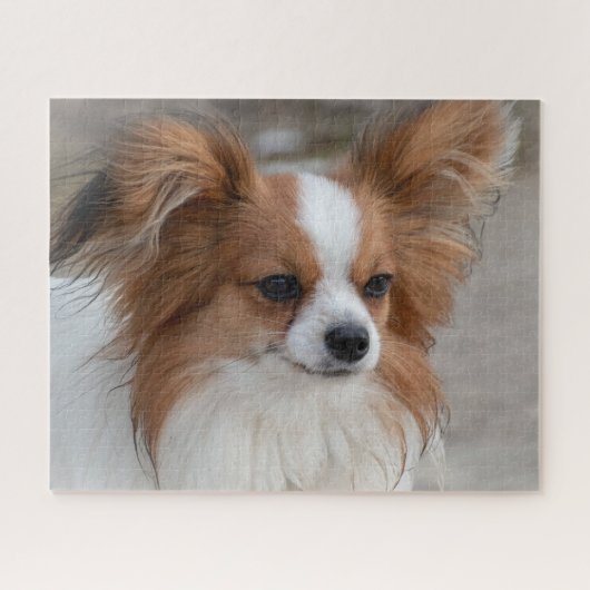 Friendly Papillon Puppy Dog Legpuzzel (Horizontaal)