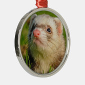 Friendly Pet Ferret Metalen Ornament (Rechts)
