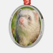 Friendly Pet Ferret Metalen Ornament (Links)