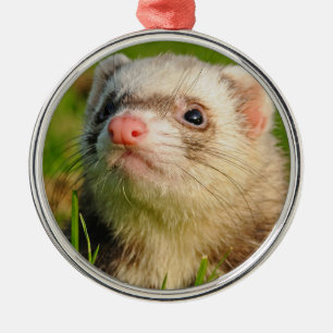 Friendly Pet Ferret Metalen Ornament