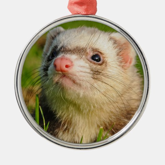 Friendly Pet Ferret Metalen Ornament (Voorkant)