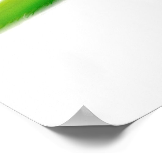 Friendly Quaker Monk Parrot Print (Hoek)