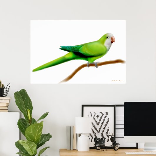 Friendly Quaker Monk Parrot Print (Thuiskantoor)