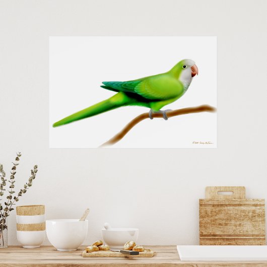 Friendly Quaker Monk Parrot Print (Keuken)