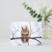 Friendly Red Squirrel Briefkaart (Staand voorkant)