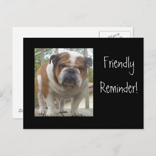 Friendly Reminder English Bulldog Briefkaarten (Voorkant / Achterkant)