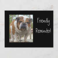Friendly Reminder English Bulldog Briefkaarten