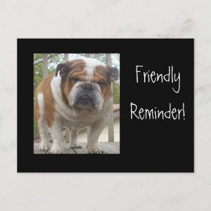 Friendly Reminder English Bulldog Briefkaarten