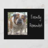 Friendly Reminder English Bulldog Briefkaarten (Voorkant)
