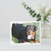 Friendly Rottweiler Briefkaart (Staand voorkant)