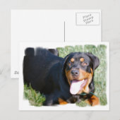 Friendly Rottweiler Briefkaart (Voorkant / Achterkant)
