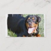 Friendly Rottweiler Dog Visitekaartje (Achterkant)