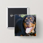 Friendly Rottweiler Pin Vierkante Button 5,1 Cm (Voorkant /achterkant)