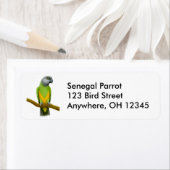 Friendly Senegal Parrot Label (Insitu)