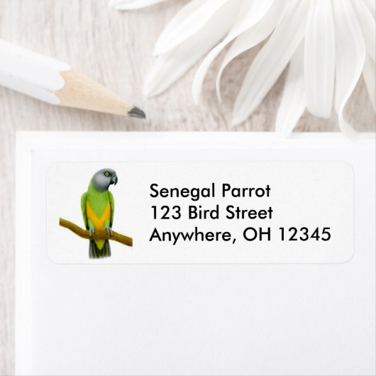Friendly Senegal Parrot Label (Insitu)