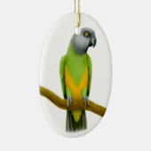 Friendly Senegal Parrot Ornament (Rechts)