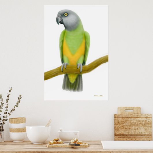 Friendly Senegal Parrot Print (Keuken)