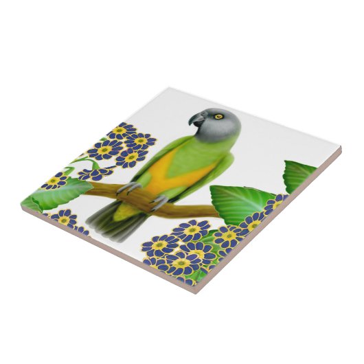 Friendly Senegal Parrot Tile Tegeltje (Zijkant)