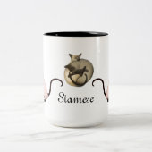 Friendly Siamese Cat Mok (Center)