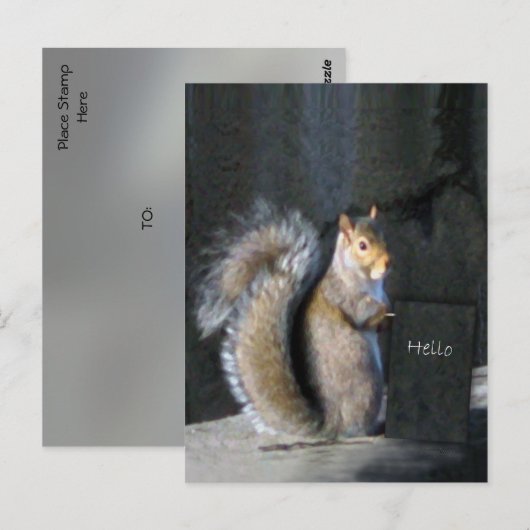 Friendly Squirrel Briefkaart (Voorkant / Achterkant)