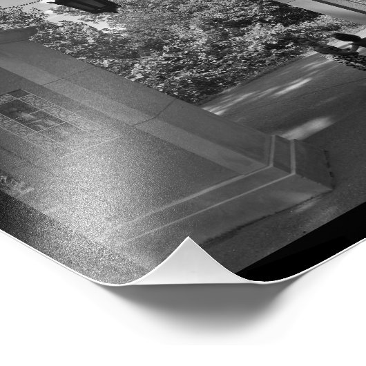 Friendly Stroll Foto Afdruk (Hoek)