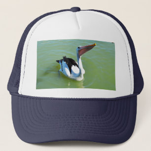 Friendly Swimming Pelican, Pet