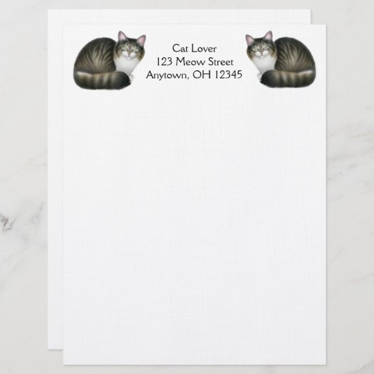 Friendly Tabby Cats Letterhead Briefhoofd Ontwerp (Voorkant / Achterkant)