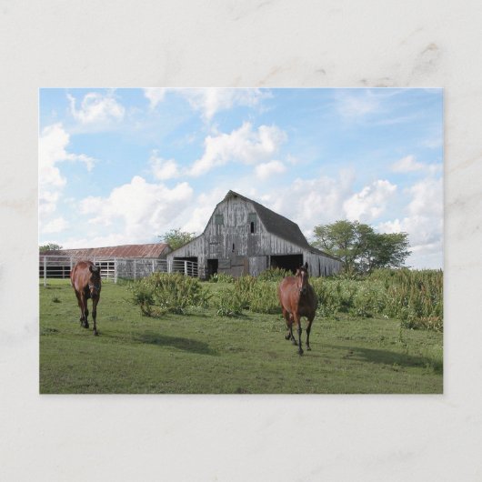 Friendly Welcome Briefkaart (Voorkant)