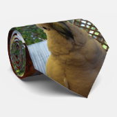 Friendly White Aussie Cockatau, Stropdas (Opgerold)