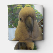 Friendly White Aussie Cockato, Koelbox Blikjeskoeler (Achterkant)