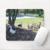 Friendly White Duck met Gese Muismat (Met muis)