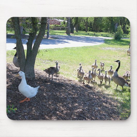 Friendly White Duck met Gese Muismat (Voorkant)