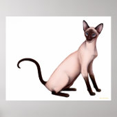 Friendly Young Siamese Cat Poster (Voorkant)