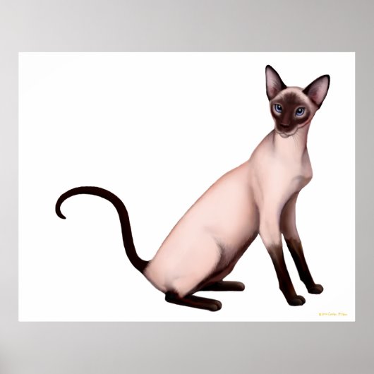 Friendly Young Siamese Cat Poster (Voorkant)