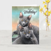 Friends Birthday Grey Cats for the Cat Lover Kaart (Gele Bloem)