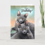 Friends Birthday Grey Cats for the Cat Lover Kaart<br><div class="desc">Als je een BFF of een goede vriend hebt die een kattenliefhebber is,  stuur dan deze mooie verjaardagskaart met twee grijze katten die zeker vrienden zijn.</div>