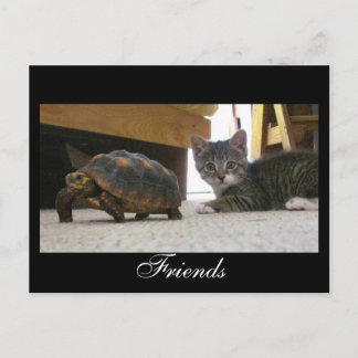 Friends Briefkaart