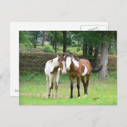 Friends Briefkaart (Voorkant / Achterkant)