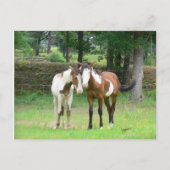 Friends Briefkaart (Voorkant)