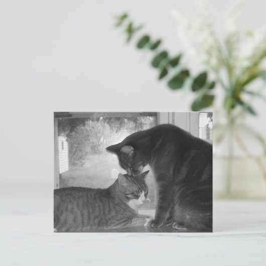 Friends Briefkaart (Staand voorkant)