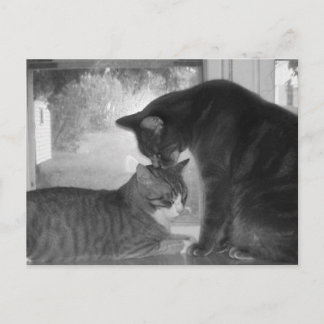 Friends Briefkaart